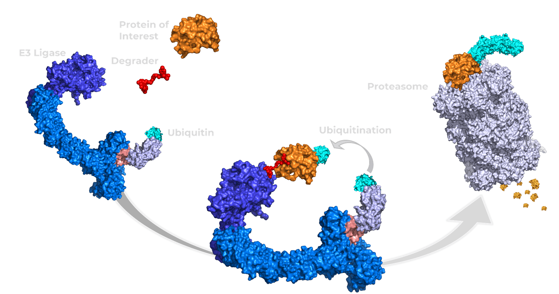 TPD diagram